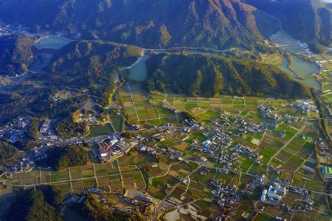 ジョーシン 和歌山 チラシ - 地元の魅力を再発見するための小さな窓